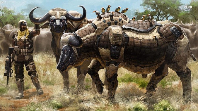 为什么&ldquo;柴犬&rdquo;从万人迷，变成万人嫌？